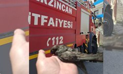 Erzincan’da Çatıya Takılan Kuş Kurtarıldı