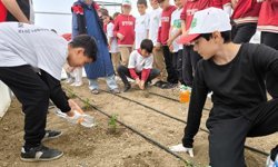 Erzincan'da Minik Eller Toprakla Buluştu