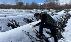 Erzincan İçin Kuvvetli Kar ve Zirai Don Alarmı!