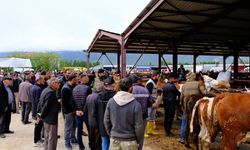 Erzincan Hayvan Pazarı’nda Bayram Hareketliliği Yaşanıyor