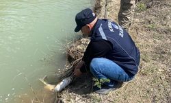 Karasu Nehri’nde Kaçak Avcılığa Karşı Denetim