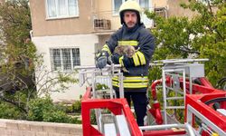 Çatıda Mahsur Kalan Kedi Güvenli Bir Şekilde Kurtarıldı