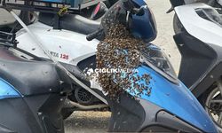 Erzincan’da Arılar Motosikleti Sardı