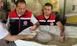 Koçaker, Hububat ve Bakliyat İşleme Tesisini İnceledi