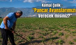 Kemal Çelik'ten Pancar Avansları İçin Çağrı