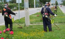 Erzincan Belediyesi Yeşil Alanlarda Bakım Çalışmalarını Sürdürüyor