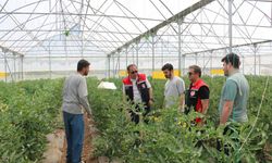 Erzincan Toplu Sera Bölgesi'nde Üretim Yerinde İncelendi