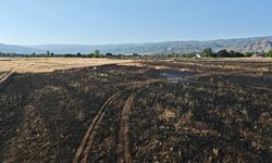 Elmaköy'de Tarla Yangını Büyümeden Söndürüldü