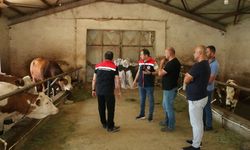 Erzincan'da Hayvancılık Daha Modern ve Daha Sürdürülebilir