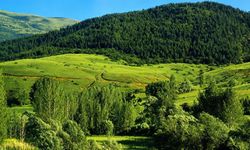 Erzincan’da Orman Yangınlarına Karşı Yeni Tedbirler Alındı
