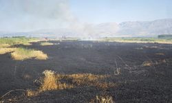Erzincan'da Buğday Tarlasında Yangın Çıktı