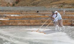 Kemah Tuzu Avrupa Yolunda