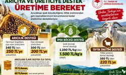 Arıcılık ve Üretime Destek Artıyor: Kovan Başına Yeni Destek Geldi