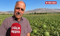 Erdene Karpuzu Pazarlama Desteği Bekliyor