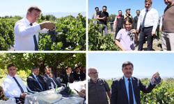 Erzincan Protokolü Cimin Üzümü Hasadında Buluştu