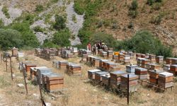 Erzincan’da Arıcılık Destekleme Takvimi Güncellendi