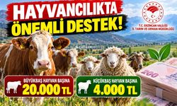 Hayvancılıkla Uğraşan Üreticilere Önemli Destek