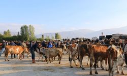 Erzincan Hayvan Pazarında Yetiştiricilere Şap Aşısı Uyarısı