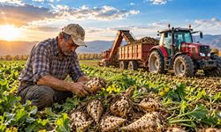 Yeni Parti Erzincan İl Başkanlığından Pancar Fiyatına Tepki: “Tarımın Geleceği 3.720 TL’ye Satılamaz!”