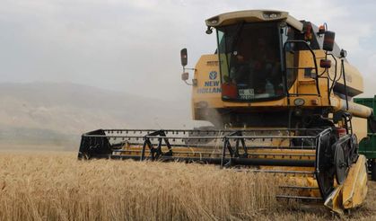 Erzincan Belediyesi Ekim Yaptığı Arazide Hasat Yaptı