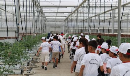 Erzincan’da İlkokul Öğrencileri İçin Tarım Kampı Düzenlendi