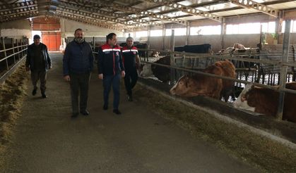 Hayvancılıkta Sürdürülebilir Üretim Sahada İncelendi