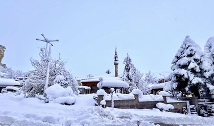 Erzincan’da Kar İlçeleri de Beyaza Bürüdü: Kemah Adeta Kardan Kayboldu