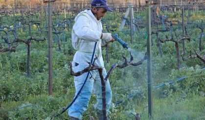 Erzincan’da Üreticilere Bordo Bulamacı Uyarısı