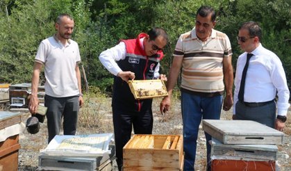 Erzincan Geven Balı Coğrafi İşaret Tescili Aldı