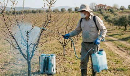 Meyve Ağaçları İçin Bordo Bulamacı Zamanı Geldi