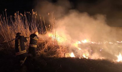 Erzincan-Kemah Yolunda Anız Yangını Kontrol Altına Alındı