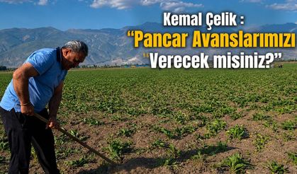 Kemal Çelik'ten Pancar Avansları İçin Çağrı