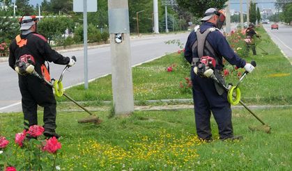 Erzincan Belediyesi Yeşil Alanlarda Bakım Çalışmalarını Sürdürüyor