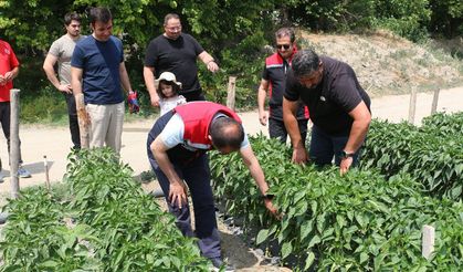 Üretimin Nabzı Üzümlü'de Tutuldu