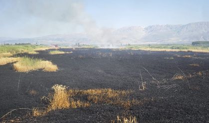 Erzincan'da Buğday Tarlasında Yangın Çıktı