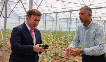 Vali Aydoğdu Toplu Sera Bölgesi'nde Üreticilerle Buluştu