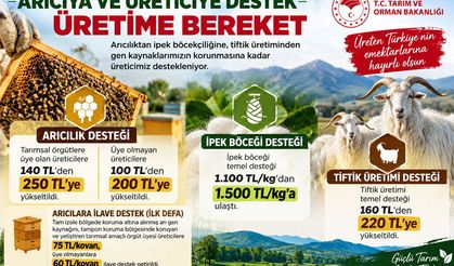 Arıcılık ve Üretime Destek Artıyor: Kovan Başına Yeni Destek Geldi