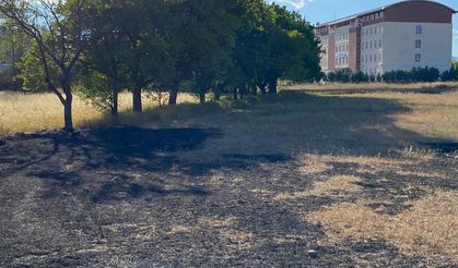 Erzincan’da Anız Yangını: İtfaiyenin Hızlı Müdahalesi Büyümesini Önledi