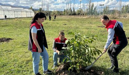 Çayırlı’da 400 Fidan Toprakla Buluştu