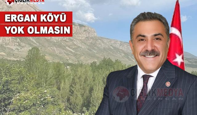 Kemal Çelik Ergan Köyü'nün Sorununu Meclise Taşıdı