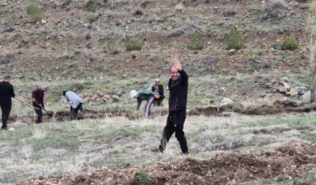 Gırmana'da Davul Zurna Eşliğinde Fide Ekim Etkinliği