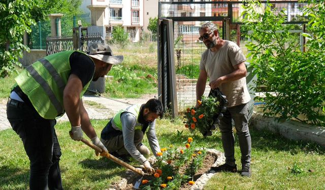 Erzincan Kendi Yetiştirdiği Çiçeklerle Renkleniyor