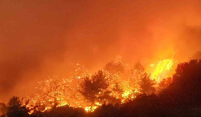 İzmir Yangını Evlere Sıçradı Yerleşim Yerleri Boşaltıldı