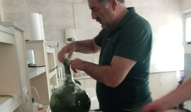 Çakşır Bitkisi İle İlgili Ödüllü Proje Hayata Geçiyor