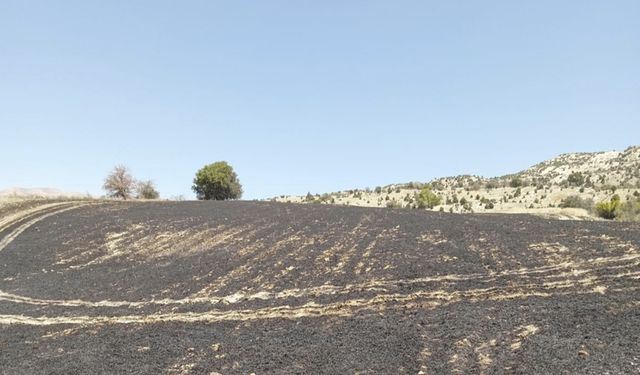 Tunceli Çemişgezek’te Yangın