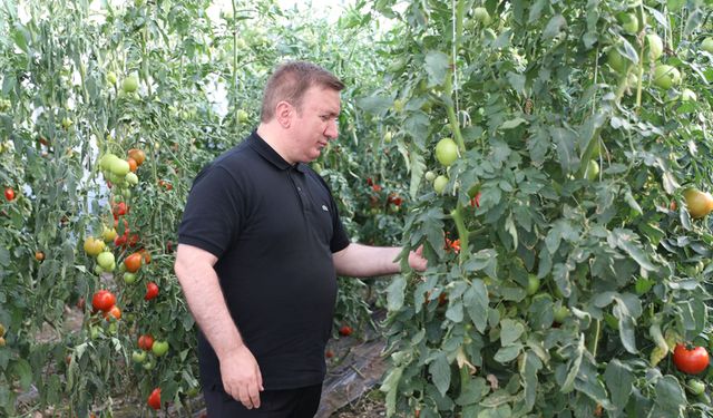 İlimiz Ekonomisine Katma Değer Sağlayan Seracılık Gelişiyor