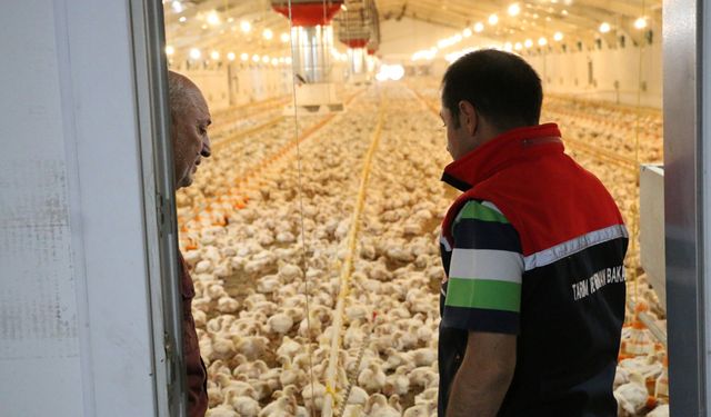 Ganiefendi’de 55 Bin Başlık Broiler Çiftliği Kuruldu