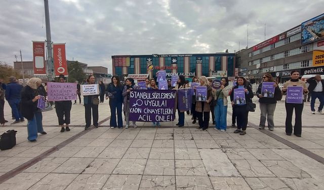 Erzincan’da Kadın Platformu’ndan “Rojin Kabaiş” İçin Adalet Çağrısı