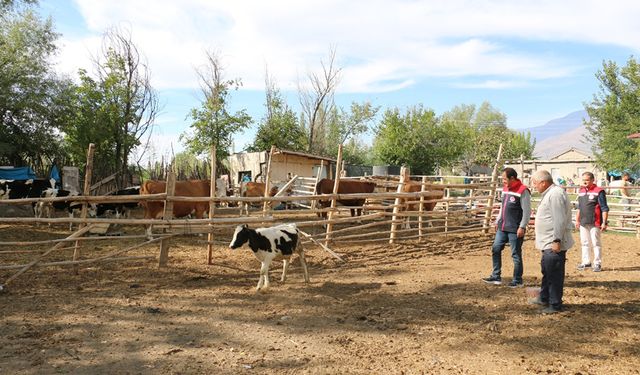 Erzincan’da Genç Girişimciler Tarımsal Üretime Katkı Sağlıyor