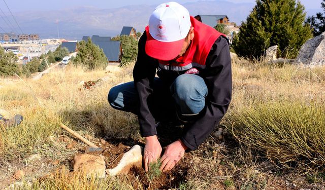 Erzincan’da 427 Bin Fidan Toprakla Buluştu